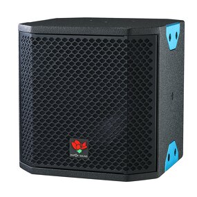 Two-way Coaxial Speaker Factory - QS Kapok CX-5F 130W 5.5" Full Range