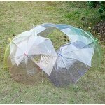 Transparent PVC Umbrella Factory - Long Handle Straight Candy-Colored 8 Bone