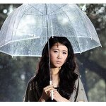 Bubble Umbrella Supplier - Clear Cute Deep Dome Wind Resistance Transparent