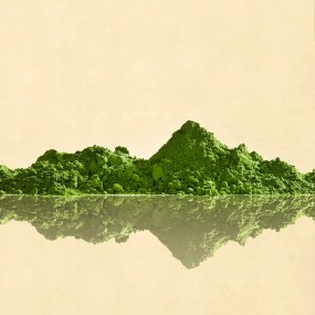 Shiningherb ISO9001 Certified China Quality Matcha Green Tea Organic Matcha Green Tea Powder