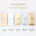 Phoenix Dancong Oolong Tea Sample Pack Chaozhou Guangdong Five Major Fragrances Ya Shi Xiang Gongfu Tea Mi Lan Xiang Dan Cong