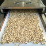 100% Natural Raw Cashews Nuts Low Fat Fresh Kernel Nuts No Additives Processed Dried Fruits and Nuts W180