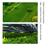 Factory Custom Organic Matcha Green Tea Powder Hot Sale in Bulk and Bag Packaging Health-Focused New Release