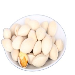 Chinese Traditional Medicinal Herb Ginkgo Biloba Fruit