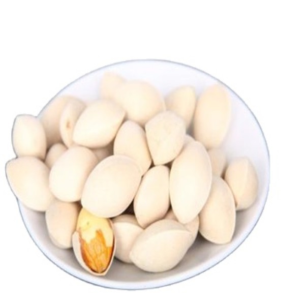 Chinese Traditional Medicinal Herb Ginkgo Biloba Fruit