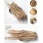 Natural Dried Chinese Herb  Dang Shen Codonopsis Pilosula Dried Dangshen Root Slice