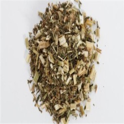 Traditional Chinese Herb Good Quality Works Effective Herbal Tea Yi Mu Cao Leonurus Japonicus Houtt. Motherwort