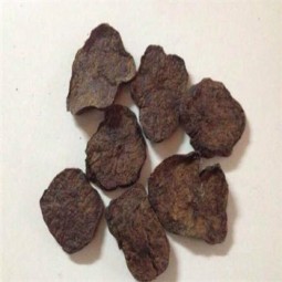 Chinese Herb Radix Polygoni Multiflori He Shou Wu Fleeceflower Root