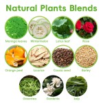 Slimming Weight Loss Herbal Tea Bags Mixed With Natural Herbs Blended Moringa Leaf Dried Tangerine Peel Cassia Seed Detox Tea