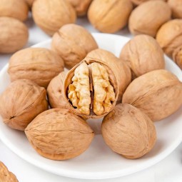 Dried Thin-Shelled Walnut Bulk Organic Healthy Nut Fruits Tasty Walnuts Fresh Shelled Thin-Skinned Walnuts