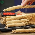 Shiningherb Dried Ginseng Root Brand ISO9001Certified Chinese Herb Big Size White Ginseng