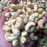 100% Natural Raw Cashews Nuts Low Fat Fresh Kernel Nuts No Additives Processed Dried Fruits and Nuts W180