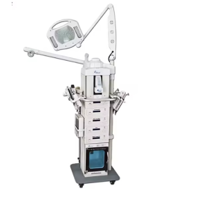 Multifunctional Facial Machine Manufacturer - OEM 19 in 1 Salon Beauty Equipment