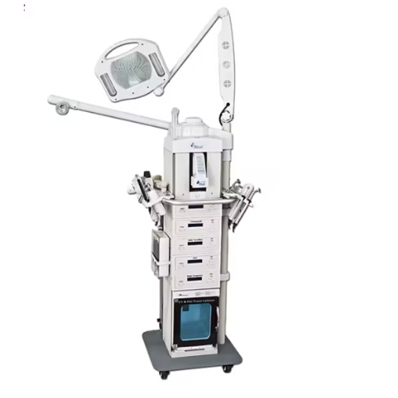 Multifunctional Facial Machine Manufacturer - OEM 19 in 1 Salon Beauty Equipment