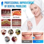Ultrasonic Toothbrush Factory - Bulk Rechargeable Sonic Adult Automatic