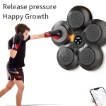 Crystal Massage Stone Manufacturer - OEM Pink Hand-Carved Himalayan Salt Stones