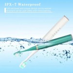 Electric Toothbrush Supplier - OEM Rechargeable Sonic USB Charge Waterproof