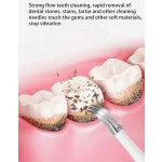 Electric Toothbrush Set Supplier - Bulk OEM Rechargeable Ultrasonic Smart