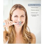 Sonic Toothbrush Factory - OEM Hot Sales Adult Plaque Removal Whitening
