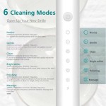 Power Toothbrush Manufacturer - OEM Waterproof 8 Heads 30 Day Battery 6 Modes