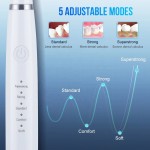 Electric Toothbrush Supplier - OEM Rechargeable Sonic USB Charge Waterproof