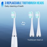 Sonic Toothbrush Factory - OEM Hot Sales Adult Plaque Removal Whitening