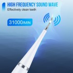 Sonic Toothbrush Factory - OEM Hot Sales Adult Plaque Removal Whitening