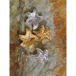 Metal Starfish Stud Earrings Manufacturer - JINYOU 4462 New Waterproof Stainless