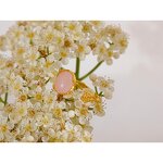 Rose Quartz Ring Manufacturer - JINYOU 069 Exquisite S925 Stone Sterling Silver