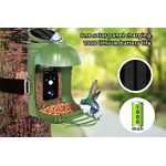 Bird Feeder Camera Manufacturer - Smart Solar Panel Auto Notifying WiFi