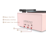 Retro Bluetooth Speaker Manufacturer - X10 Parlante Portable Nostalgic