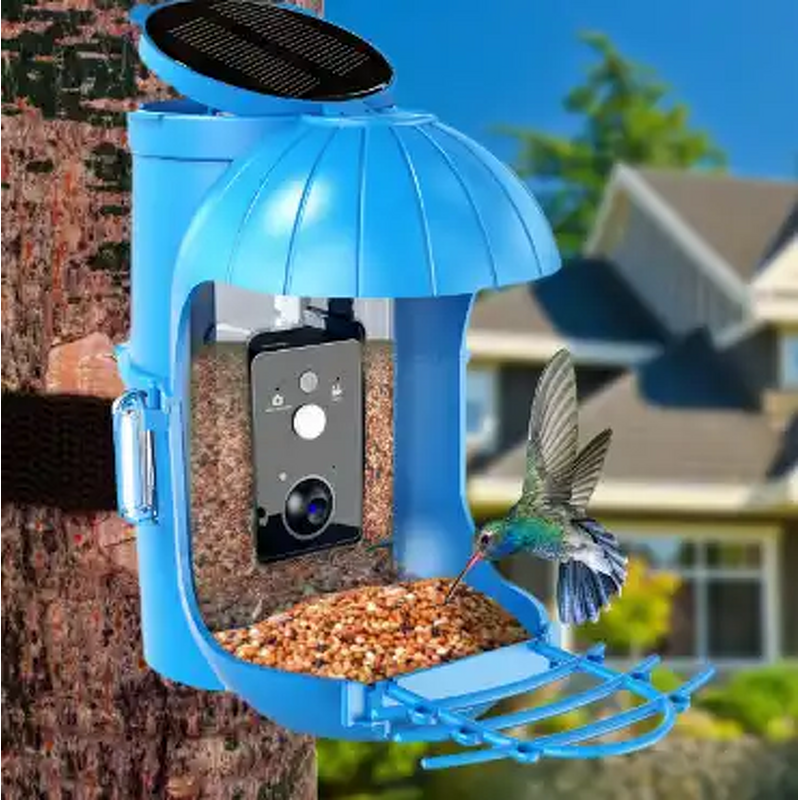 Bird Feeder Camera Manufacturer - Smart Solar Panel Auto Notifying WiFi