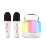 Karaoke Machine Speaker Supplier - Y6 Portable Double Wireless Microphones