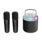 Portable Karaoke Machine Manufacturer - C20 Dual Microphone BT Speaker