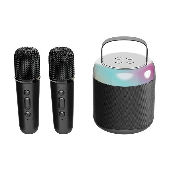 Portable Karaoke Machine Manufacturer - C20 Dual Microphone BT Speaker