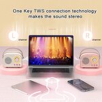 Retro Mini Bluetooth Speaker Manufacturer - DW21 Home Theatre Stereo