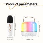 Karaoke Machine Speaker Supplier - Y6 Portable Double Wireless Microphones