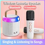 Portable Karaoke Machine Manufacturer - C20 Dual Microphone BT Speaker