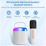 Portable Karaoke Machine Manufacturer - C20 Dual Microphone BT Speaker
