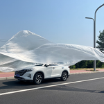 Plastic Car Cover Supplier - Factory Outlet Custom Transparent Disposable