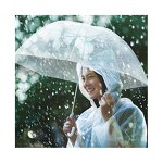 Travel Umbrella Factory - Hot Selling Portable Manual Suspension Dome