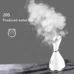 面部加湿器源头工厂 - 迷你纳米喷雾蒸脸器代工