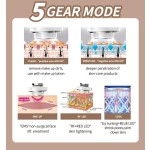 RF Face Lift Factory - OEM Portable EMS Skin Tightening