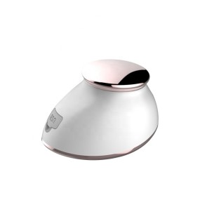 Electric Facial Brush Factory - OEM 2 in 1 Lead-in Instrument