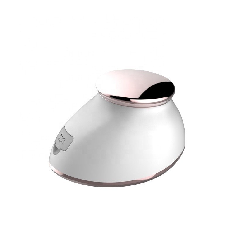 Electric Facial Brush Factory - OEM 2 in 1 Lead-in Instrument