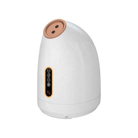 面部蒸脸器源头工厂 - 三合一喷雾机器代工