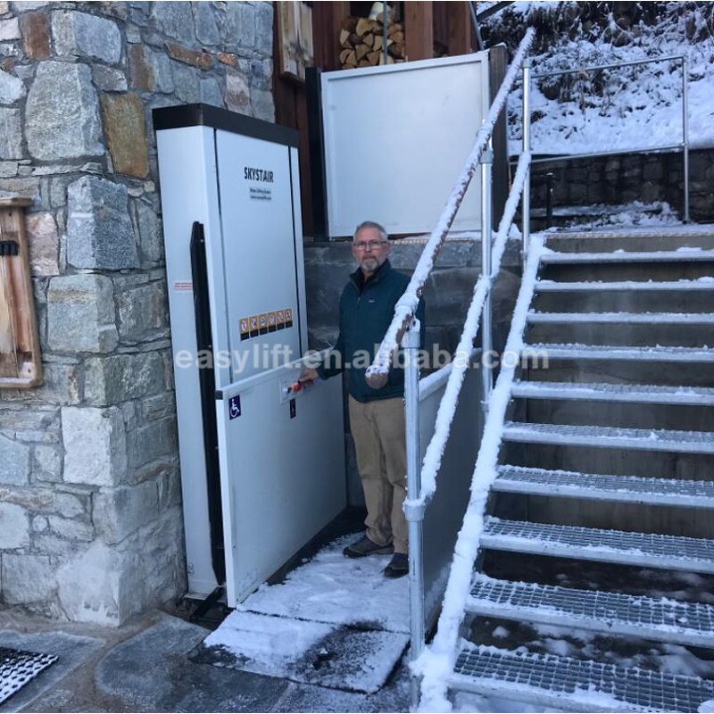 Home Wheelchair Lift Manufacturer - Custom Disabled Elevator