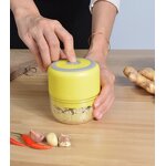 USB Food Processor Manufacturer - OEM/ODM Custom Private Label