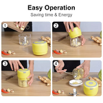 Mini Food Processor Manufacturer - OEM/ODM Custom Private Label