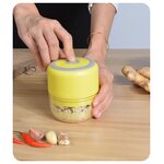 Multifunctional Food Chopper Manufacturer - OEM/ODM Custom